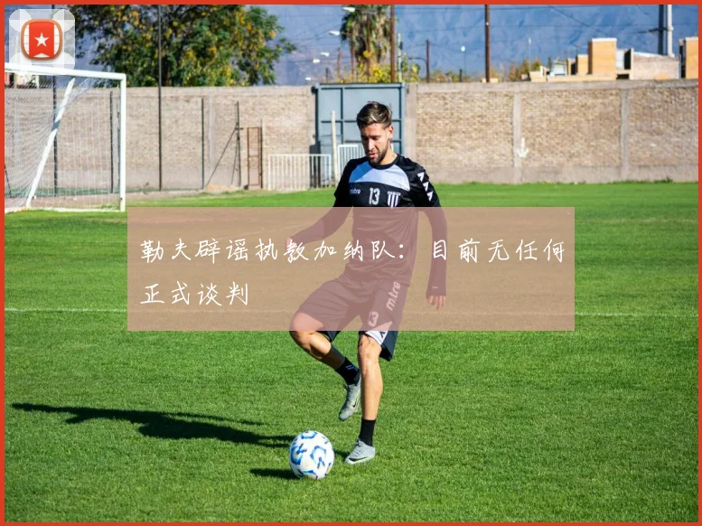 勒夫辟谣执教加纳队:目前无任何正式谈判