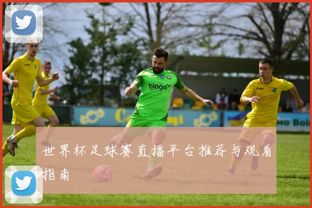 世界杯足球赛直播平台推荐与观看指南